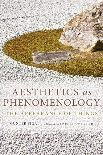 Aesthetics as Phenomenology: The Appearance of Things (Studies in Continental Thought)