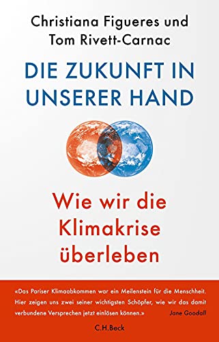 Die Zukunft in unserer Hand: Wie wir die Klimakrise überleben von Beck C. H.