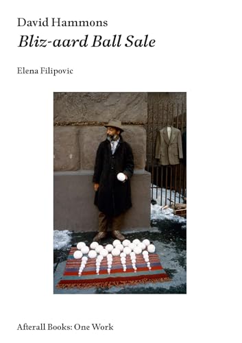 David Hammons: Bliz-aard Ball Sale (Afterall Books / One Work) von MIT Press