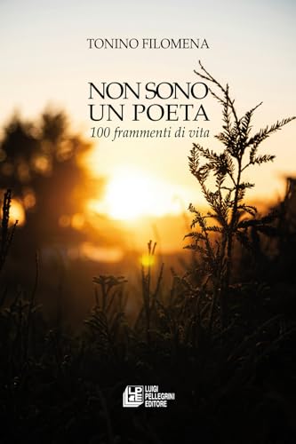 Non sono un poeta. 100 frammenti di vita (Fuori collana) von Pellegrini