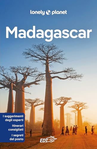 Madagascar (Guide EDT/Lonely Planet)