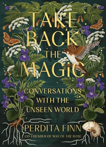 Take Back the Magic: Conversations with the Unseen World von Running Press Adult
