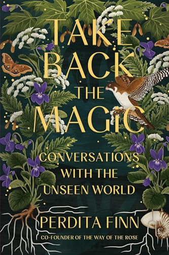 Take Back the Magic: Conversations with the Unseen World von Running Press Adult