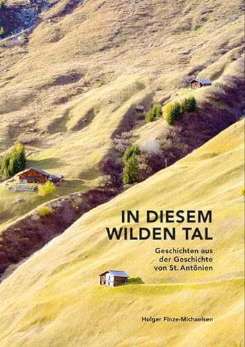 In diesem wilden Tal: Geschichten aus der Geschichte von St. Antönien von Edition Somedia