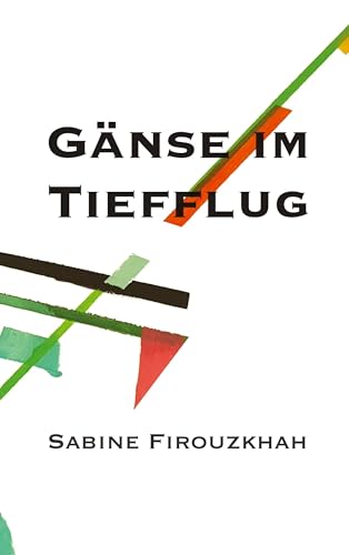 Gänse im Tiefflug: camping leben von BoD – Books on Demand