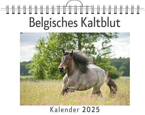 Belgisches Kaltblut - (Wandkalender 2025, Kalender DIN A4 quer, Monatskalender im Querformat mit Kalendarium, das perfekte Geschenk) von FlipFlop