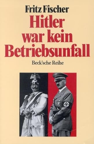 Hitler war kein Betriebsunfall: Aufsätze
