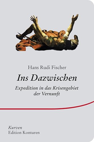 Ins Dazwischen: Expedition in das Krisengebiet der Vernunft (Kurven)