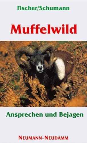 Muffelwild: Ansprechen und Bejagen