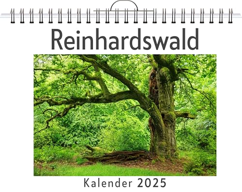 Reinhardswald - (Wandkalender 2025, Kalender DIN A4 quer, Monatskalender im Querformat mit Kalendarium, das perfekte Geschenk) von FlipFlop