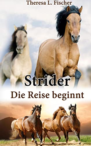 Strider: Die Reise beginnt