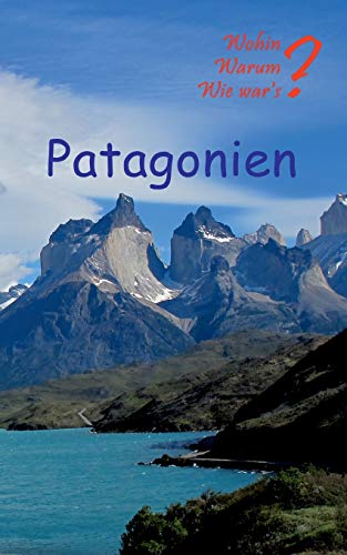 Patagonien: Mit Buenos Aires, Santagio de Chile und Valparaiso (Wohin? Warum? Wie war's?)