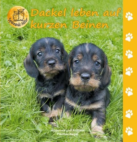 Dackel leben auf kurzen Beinen (Spannende Natur)