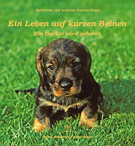 Ein Leben auf kurzen Beinen: Ein Dackel wird geboren Ein Leben auf kurzen Beinen: Ein Dackel wird geboren