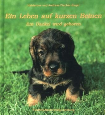Ein Leben auf kurzen Beinen: Ein Dackel wird geboren Ein Leben auf kurzen Beinen: Ein Dackel wird geboren