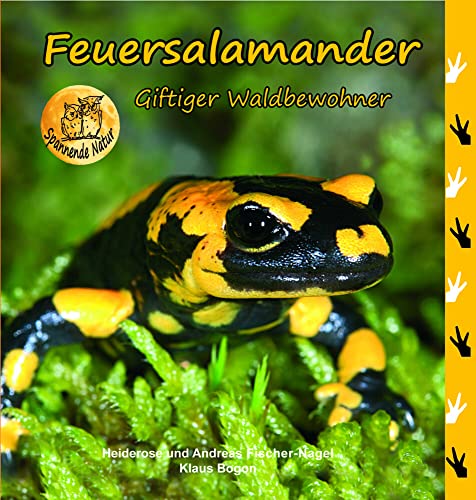 Feuersalamander: Giftiger Waldbewohneer von Fischer-Nagel, Heiderose