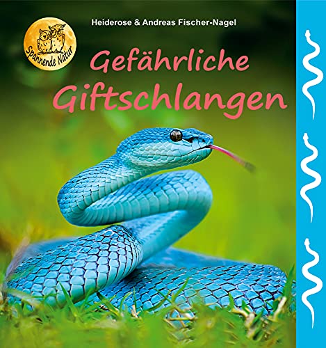 Gefährliche Giftschlangen von Fischer-Nagel, Heiderose