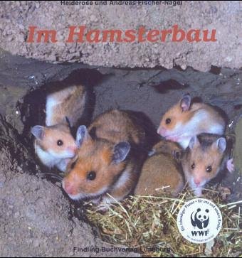 Im Hamsterbau Im Hamsterbau