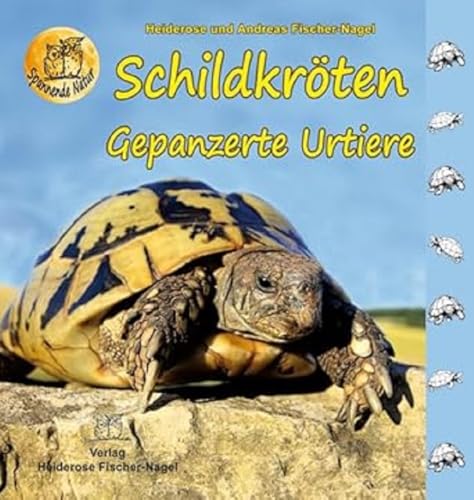 Schildkröten: Gepanzerte Urtiere