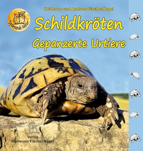 Schildkröten: Gepanzerte Urtiere