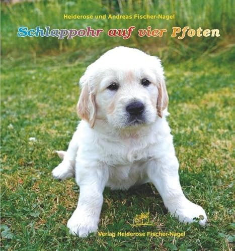 Schlappohr auf vier Pfoten Schlappohr auf vier Pfoten