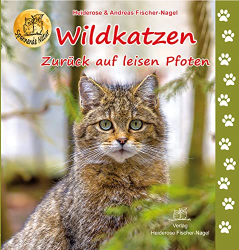 Wildkatzen: Zurück auf leisen Pfoten von Fischer-Nagel, Heiderose