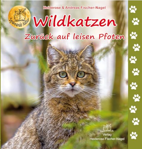 Wildkatzen: Zurück auf leisen Pfoten