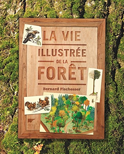 La Vie illustrée de la forêt von DELACHAUX