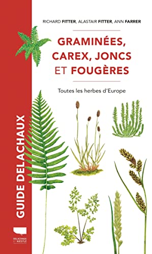 Graminées, carex, joncs et fougères: Toutes les herbes d'Europe von DELACHAUX