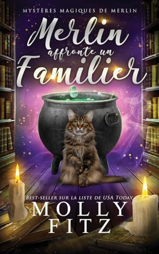 Merlin affronte un familier (Mystères Magiques de Merlin, Band 1) von Partridge & Pear Press