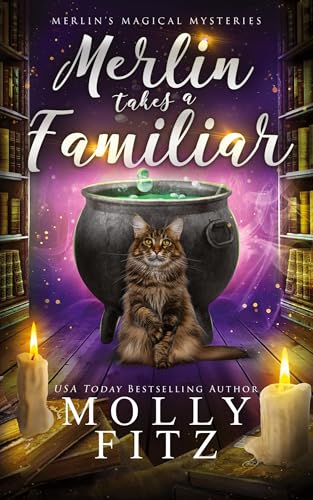 Merlin Takes a Familiar (Merlin's Magical Mysteries, Band 1) von Partridge & Pear Press