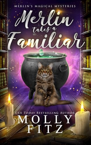 Merlin Takes a Familiar (Merlin's Magical Mysteries, Band 1) von Independently published