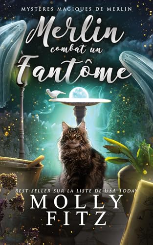 Merlin combat un fantôme (Mystères Magiques de Merlin, Band 2) von Partridge & Pear Press