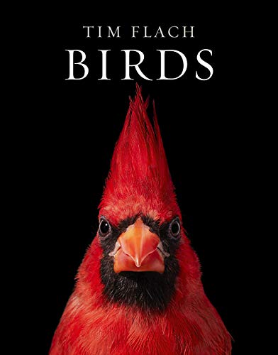 Birds: Photographs von Abrams Books