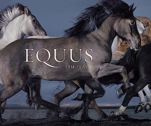Equus (Mini): Tim Flach (MIni edition)