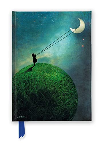 Catrin Welz-Stein: Chasing the Moon (Foiled Journal) (Flame Tree Notebooks): Unser hochwertiges, liniertes Blankbook mit festem, künstlerisch ... Notizbuch DIN A 5 mit Magnetverschluss)