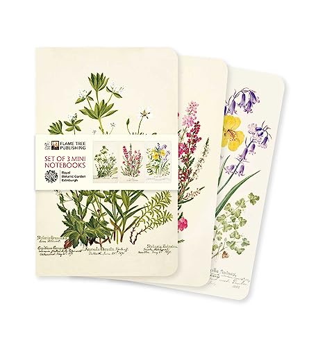 Dreier Set Mini-Notizbücher: Royal Botanic Garden Edinburgh: Unser beliebten Mini-Notizbücher im 3er-Pack mit flexiblen, künstlerisch gestalteten ... des Künstlers (Mini-Notizbücher (3er-Pack)) von Brown Trout-Auslieferer Flechsig