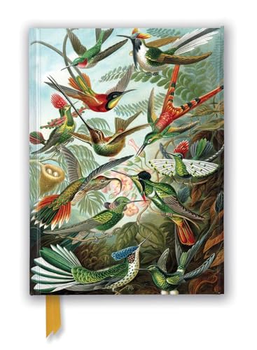 Ernst Haeckel - Hummingbirds Notebook (Flame Tree Notebooks): Unser hochwertiges, liniertes Blankbook mit festem, künstlerisch geprägtem Einband und ... Notizbuch DIN A 5 mit Magnetverschluss) von Brown Trout-Auslieferer Flechsig