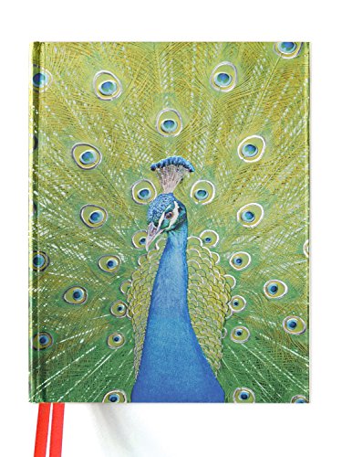 Peacock Blank Sketch Book (Luxury Sketch Books): Unser hochwertiges Blankbook mit festem, künstlerisch geprägtem Einband im Format 28 cm x 21,6 cm (Premium Skizzenbuch)