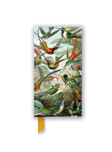 Schmales Hardcover-Notizbuch: Ernst Haeckel, Kolibris: Unser hochwertiges, liniertes Blankbook mit festem, künstlerisch geprägtem Einband (Schmale Hardcover-Notizbücher) von Brown Trout-Auslieferer Flechsig