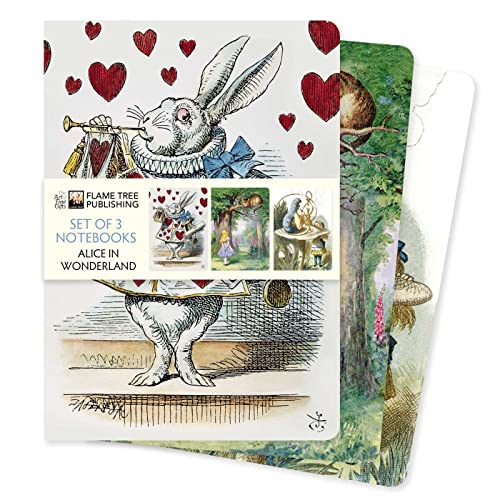 Dreier Set DIN-A5-Format-Notizbücher: Alice im Wunderland: Unser beliebten DIN-A5-Format-Notizbücher im 3er-Pack mit flexiblen, künstlerisch ... (3er-Sets DIN-A5-Format-Notizbücher) von Brown Trout-Auslieferer Flechsig