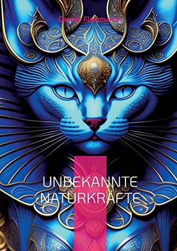 Unbekannte Naturkräfte: Erklärungen, Theorien und Lehrmeinungen (Toppbook Wissen)