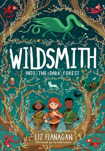 Into the Dark Forest: The Wildsmith #1 von UCLan Publishing