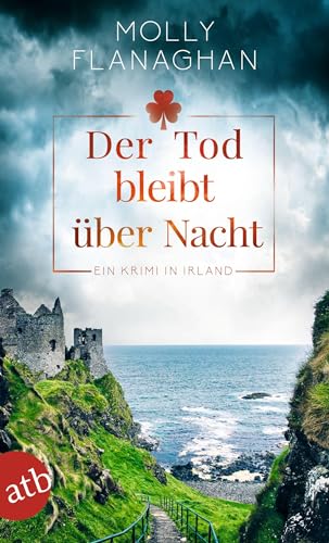 Der Tod bleibt über Nacht: Ein Krimi in Irland (Fiona O'Connor ermittelt, Band 2) von Aufbau Taschenbuch Verlag