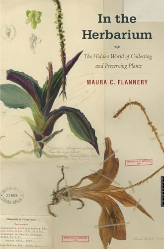 In the Herbarium: The Hidden World of Collecting and Preserving Plants In the Herbarium: The Hidden World of Collecting and Preserving Plants