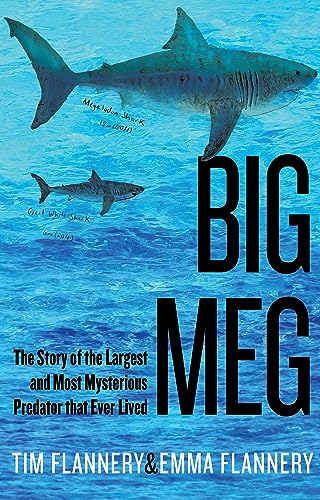 Big Meg: The Story of the Largest and Most Mysterious Predator That Ever Lived von Grove Press / Atlantic Monthly Press