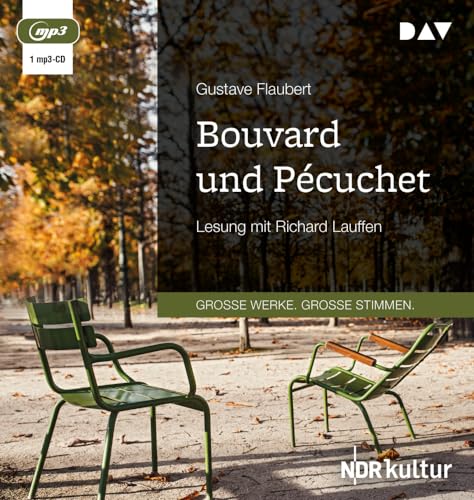 Bouvard und Pécuchet: Lesung mit Richard Lauffen (1 mp3-CD) von Audio Verlag Der GmbH