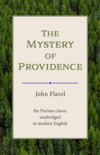 The Mystery of Providence (in Modern English) von Independently published