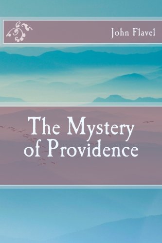 The Mystery of Providence von CreateSpace Independent Publishing Platform
