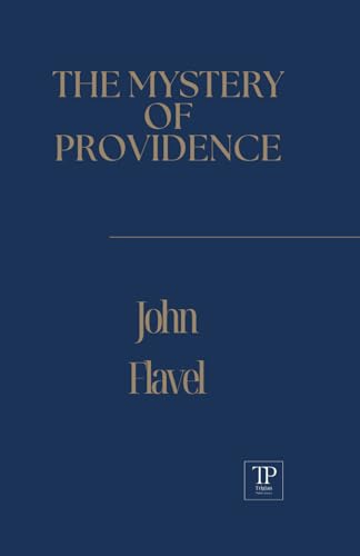 The Mystery of Providence von Independently published